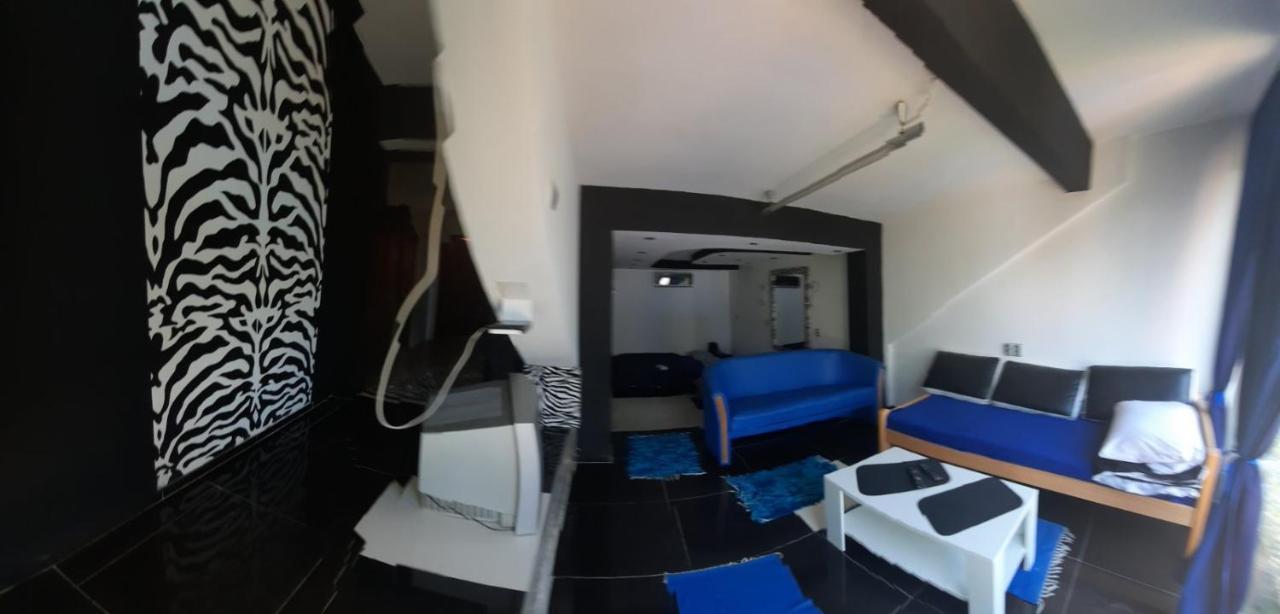 Noa.S Pansion 88 Bed and Breakfast Vrnjačka Banja Εξωτερικό φωτογραφία